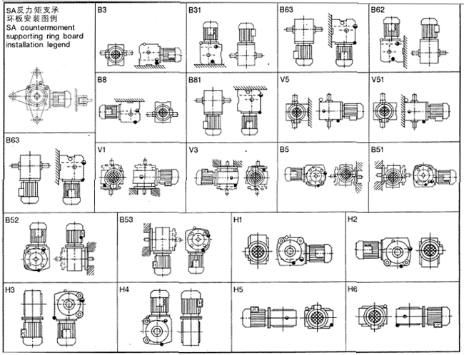 ΁Upc̖c(bio)ӛ